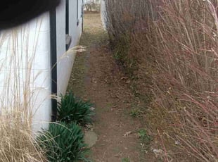 Leaf Removal by Dontai Jackson for Hayley J. in Jeffersonville, IN