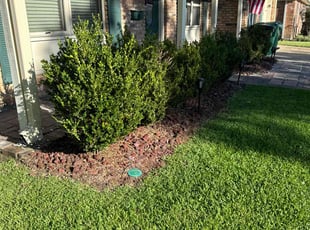 Weeding by Allen Roberto $ for Elizabeth F. in Gretna, LA