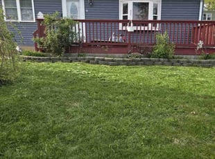 Karen M.'s Grass Cutting service result