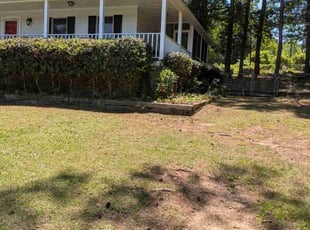 Bush Trimming by Steven Baskin for Tammy G. in West Columbia, SC