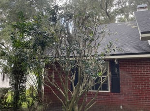 Bush Trimming by Ramon Taguja for Henry E. in Lakeland, FL