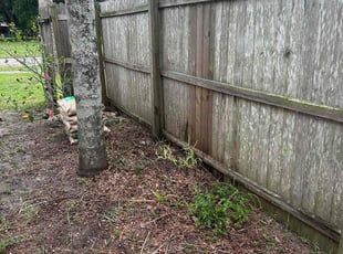Cleanups by Yurleidy Jimenez for Lindsey E. in Cocoa, FL