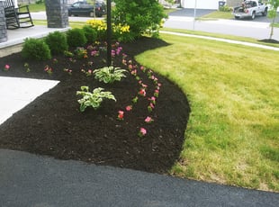 Mulching by David Walton for Cassie P. in Columbus, OH