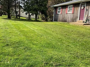Janelle K.'s Lawn Mowing service result