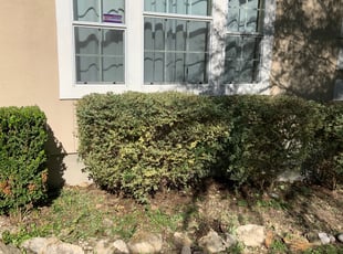 Bush Trimming by Adel Baker for Ann Marie H. in San Antonio, TX
