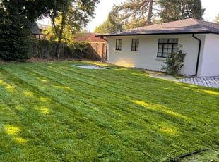Brittany S.'s Lawn Care service result