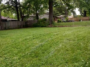 Cleanups by Amanda Fogel for Macy N. in Kansas City, MO