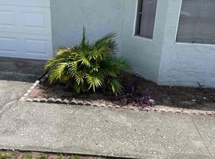 Weeding by Kristian Bergman for Reyna L. in Orlando, FL