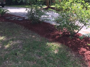 Mulching by Manuel Nunez for Dennis F. in Spring, TX