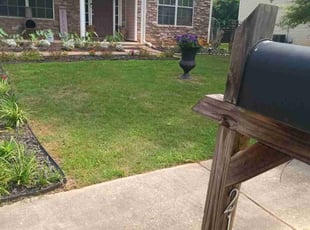 Zanita P.'s Lawn Care service result