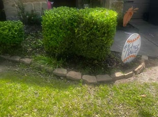 Bush Trimming by Randy Madden for Katie H. in McKinney, TX