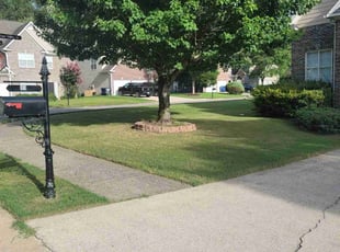 George B.'s Lawn Service service result