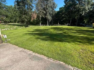 Jeanie D.'s Lawn Care service result