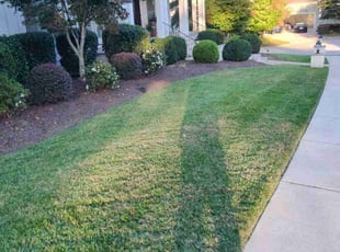 Garrett C.'s Lawn Mowing service result