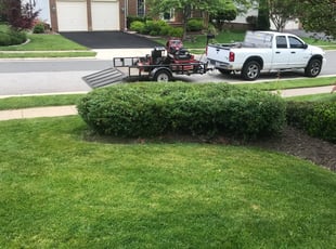 Bush Trimming by Harold Guzman for Mike M. in Woodbridge, VA