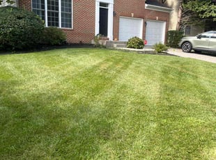 Bush Trimming by Jhonatan Torres for Abdul . in Bowie, MD
