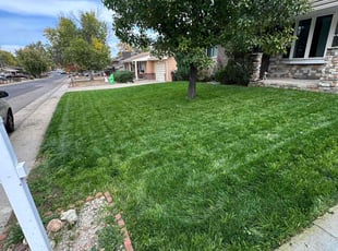 David C.'s Yard Cutting service result