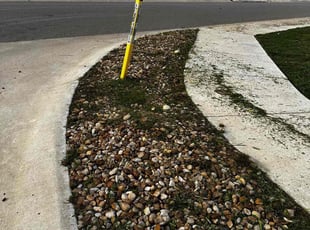 Weeding by Pablo Gonzalez for Alyssa H. in Georgetown, TX