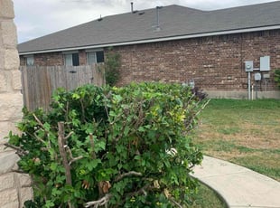 Bush Trimming by Pablo Gonzalez for Justin L. in Round Rock, TX