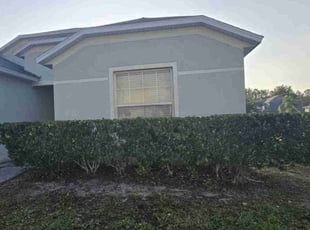 Bush Trimming by Rolando Mojica Betancourt for Katie W. in Kissimmee, FL