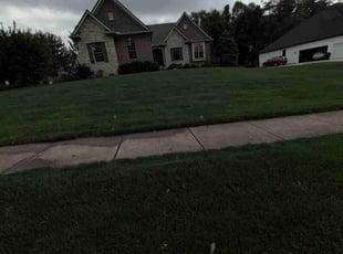 Dia B.'s Yard Cutting service result