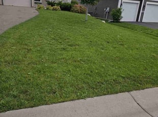 Chris Q.'s Yard Cutting service result