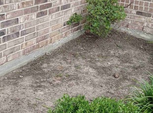 Weeding by Carina Perez for Christina A. in Houston, TX