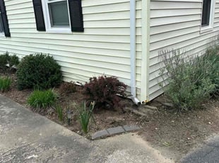 Weeding by Jose M Rodriguez for Wayne W. in Falls Church, VA
