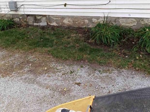 Weeding by Phillip Lopez for Jon C. in Kansas City, MO