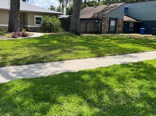 Hammad T.'s Lawn Maintenance service result