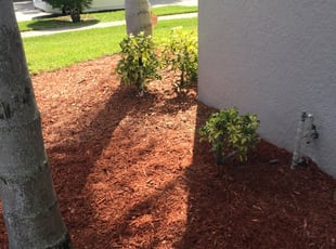 Weeding by Maria Mercedes Ortiz for Ronald M. in Orlando, FL