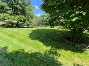 Kurt T.'s Lawn Service service result