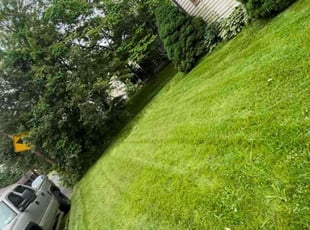 Cleanups by Kevin Pagan for Vida S. in Willow Grove, PA