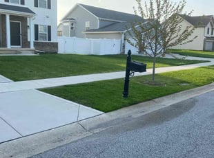 Stephanie F.'s Grass Cutting service result