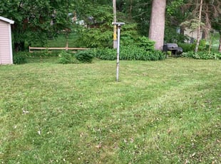 Leaf Removal by Frank Oliver for Jenny D. in Minneapolis, MN