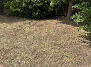 Cleanups by Johnie Parker for Jamie D. in Fresno, CA