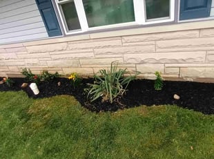 Landscaping by Joyce Martin for Linda R. in Indianapolis, IN