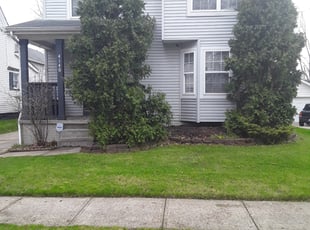 Cleanups by Lameer Kidd for Ashley J. in Cleveland, OH