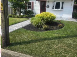 Sharon F.'s Yard Cutting service result
