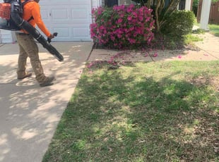 Bush Trimming by Scott Heslin for Toirnette L. in Raleigh, NC