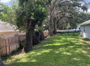 Leaf Removal by Jorge Aguirre for Corinne S. in Sanford, FL
