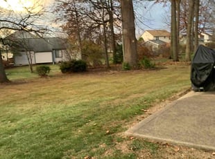 Leaf Removal by B.J. Schuetz for Harry S. in Columbus, OH