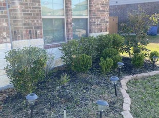 Bush Trimming by DeAndre Lamb for Alexis W. in Humble, TX