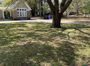 Leaf Removal by Noah Corey for Catherine S. in Mount Pleasant, SC