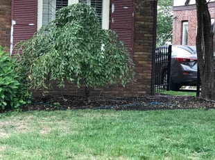 Weeding by Michael McDaniel for Kori S. in Indianapolis, IN