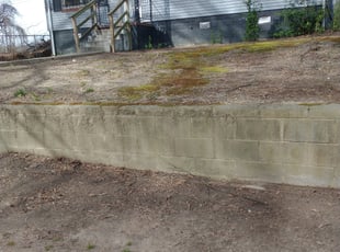 Leaf Removal by Earth Thomas for Shannon E. in Richmond, VA