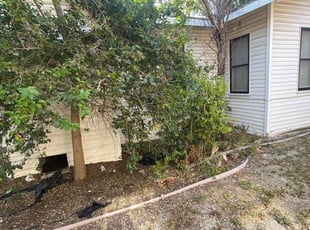 Bush Trimming by Israel Valle for Robert P. in San Antonio, TX