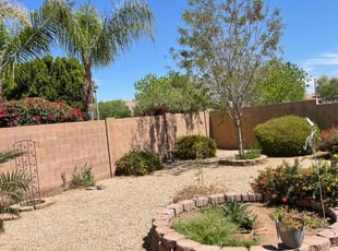 Leaf Removal by Michael Rizzo for Calvin B. in Queen Creek, AZ