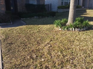 Cleanups by Lucio Gonzales for Sarah H. in Austin, TX