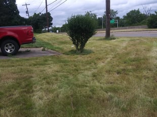 Cleanups by Lamont Howard for Daniela K. in Columbus, OH